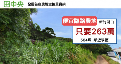 湖口超便宜臨路584坪農地