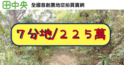 苗栗西湖龍洞農牧地(7252平方公尺)