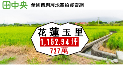 花蓮玉里近三民火車站農地1152坪