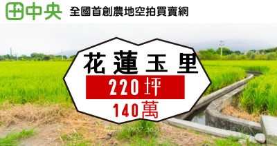 花蓮玉里近三民火車站農地220坪