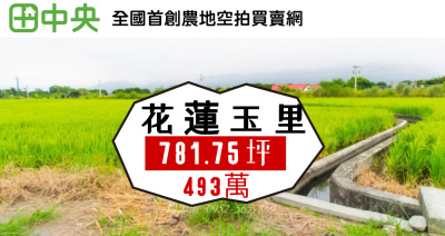 花蓮玉里近三民火車站農781坪