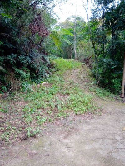 百壽村農牧用地農地田地林地4萬坪台三線旁-露營區農場