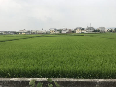 草屯國3交流道！方正農地！
