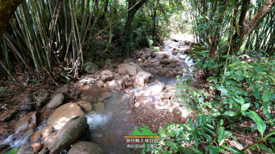 新竹縣芎林鹿寮坑綠色小徑臨溪梯田-新竹縣土地