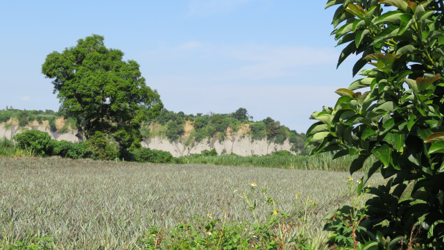 空拍環景...台南市大內區平坦農地每分地68萬**出售農地-60**