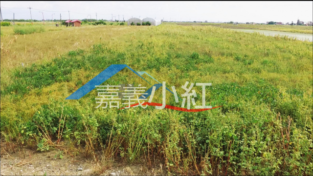 空拍環景...嘉義縣義竹鄉義竹農地**出售農地-1117**