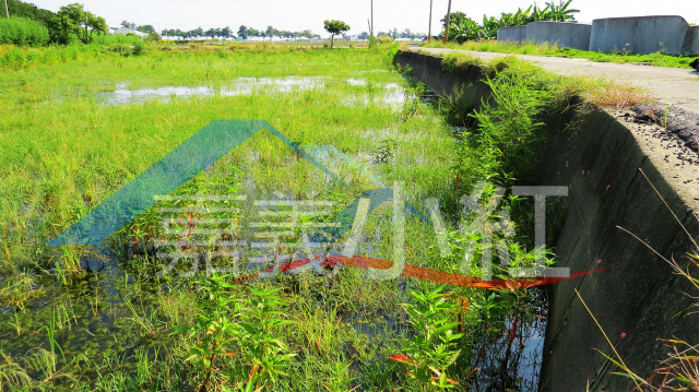 空拍環景..嘉義縣太保市可分割農地**出售農地-1116**