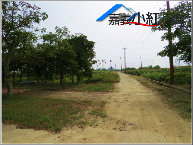 嘉義縣義竹鄉鐵馬道旁農地**出售農地-1102**