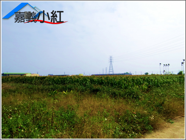 嘉義縣義竹鄉鐵馬道旁農地**出售農地-1102**