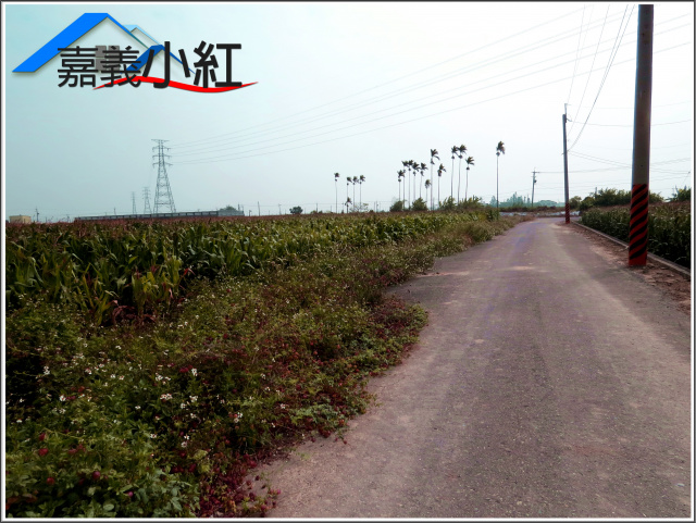 嘉義縣義竹鄉鐵馬道旁農地**出售農地-1102**
