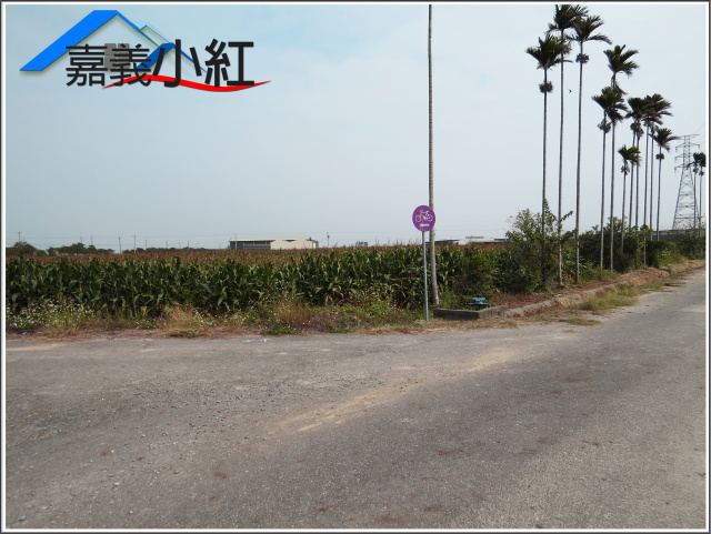 嘉義縣義竹鄉鐵馬道旁農地**出售農地-1102**