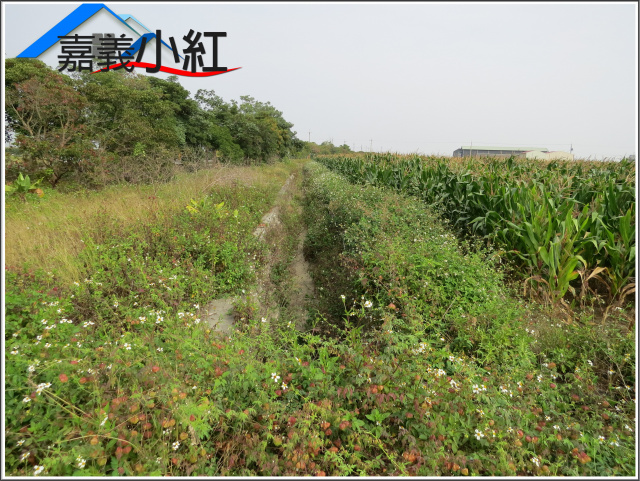 嘉義縣義竹鄉鐵馬道旁農地**出售農地-1102**
