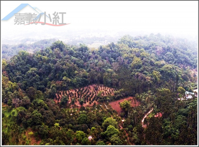 空拍環景..嘉義縣番路鄉棕櫚湖附近農建地**出售農建地-1096**