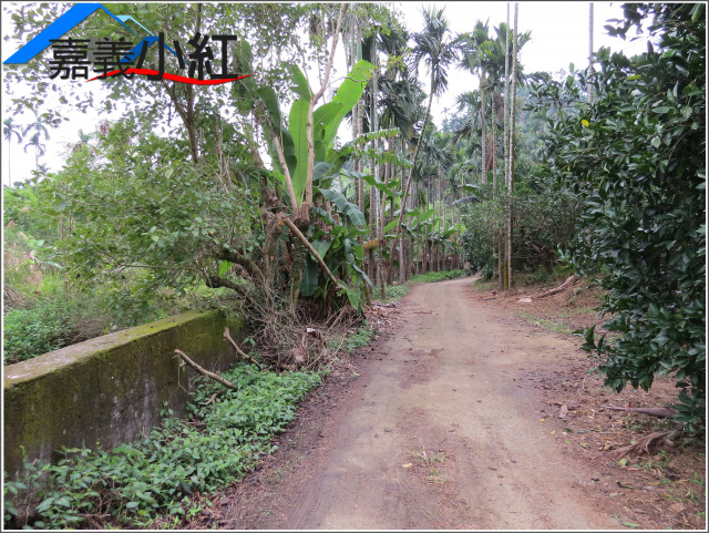 空拍環景..嘉義縣番路鄉棕櫚湖附近農建地**出售農建地-1096**