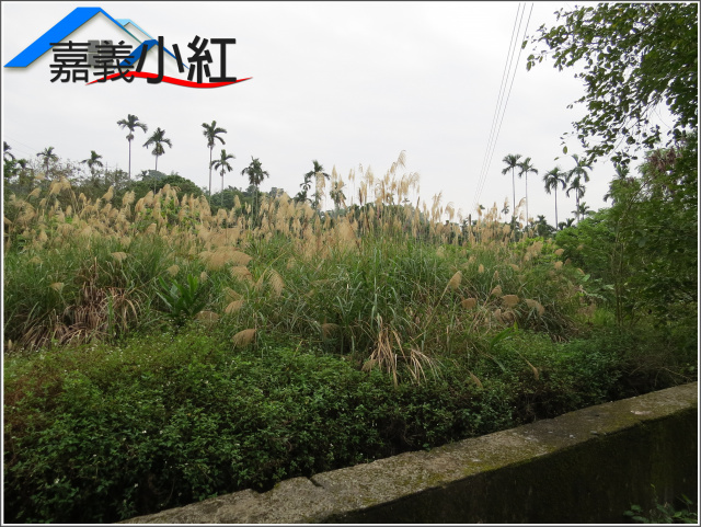 空拍環景..嘉義縣番路鄉棕櫚湖附近農建地**出售農建地-1096**