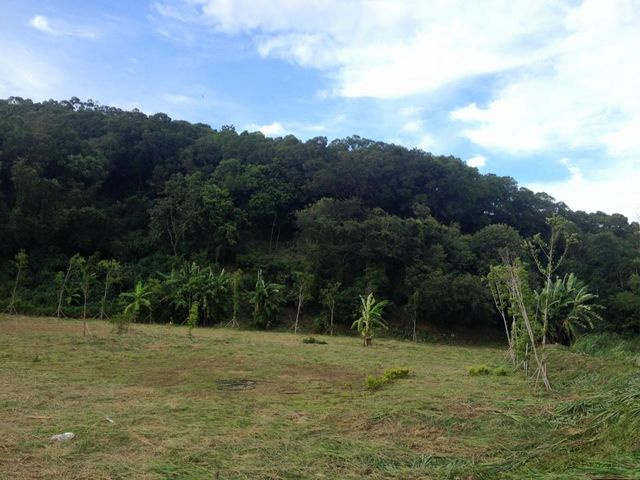 苗栗縣通霄鎮馬家庄楓樹窩鄉村田園