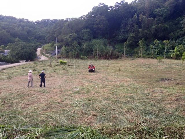 苗栗縣通霄鎮馬家庄楓樹窩鄉村田園