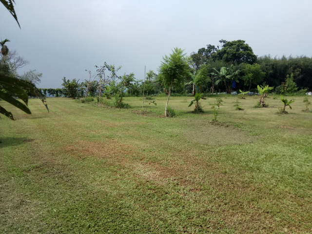 悠然居景觀休閒農地126-3(溪頭周邊稀有小坪數景觀農地)