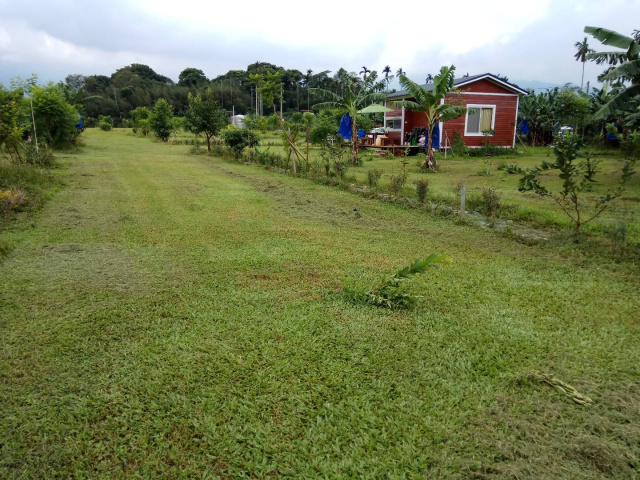 悠然居景觀休閒農地126-3(溪頭周邊稀有小坪數景觀農地)