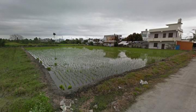 台東市知本段農地