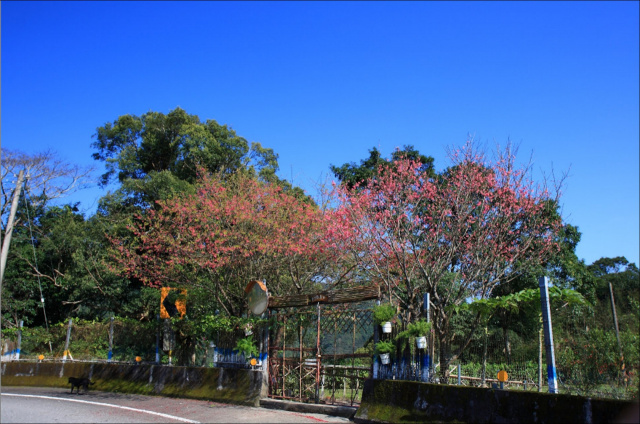 牛鬥-桃源谷秘境花園