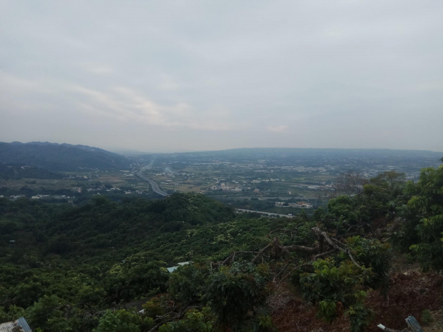 二高南投休息站後方景觀休閒果園