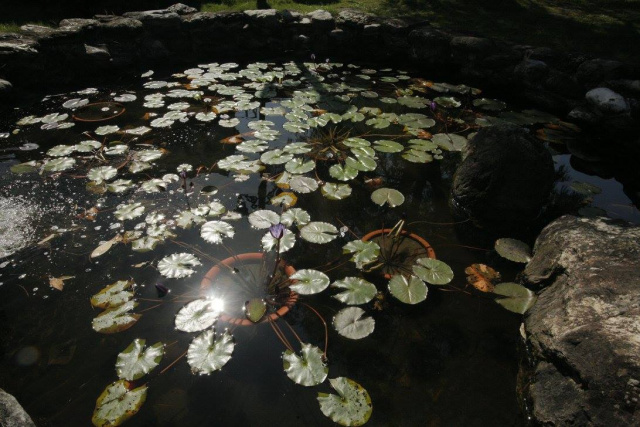 宜蘭農舍 羅運湧泉庭園農舍 百萬裝潢 千萬花園 享受羅運在我家