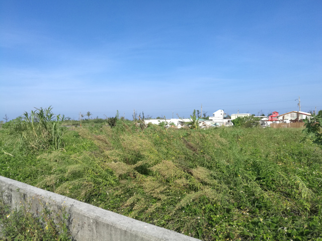 地主廉售台東市豐里段大面寬低總價農地