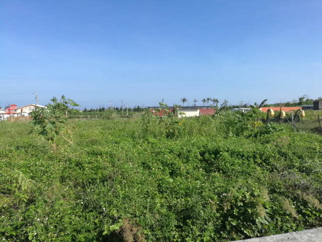 地主廉售台東市豐里段大面寬低總價農地