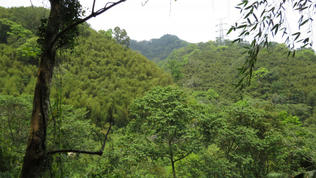 空拍環景..苗栗大湖鄉每分地19萬**出售農地-1**