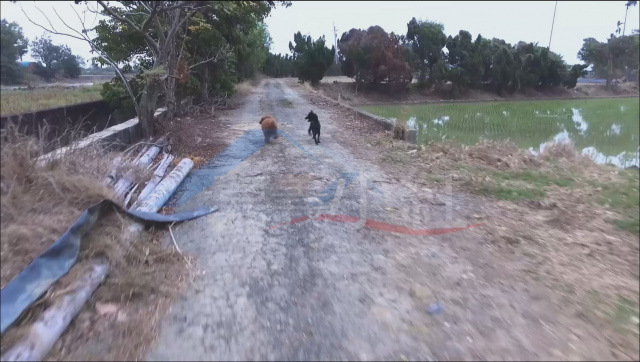 空拍環景..嘉義縣鹿草鄉近高鐵交流道附近農地**出售農地-1135**