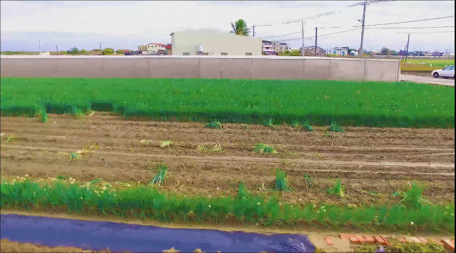 空拍環景..嘉義縣朴子市大面寬農地**出售農地-1134**