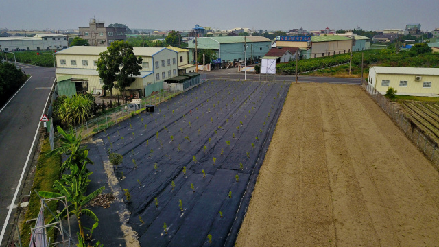 高雄-阿蓮-都市計畫內-市區農地 雙面臨路