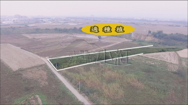 嘉義縣民雄鄉低總價農地**出售農地-1139**