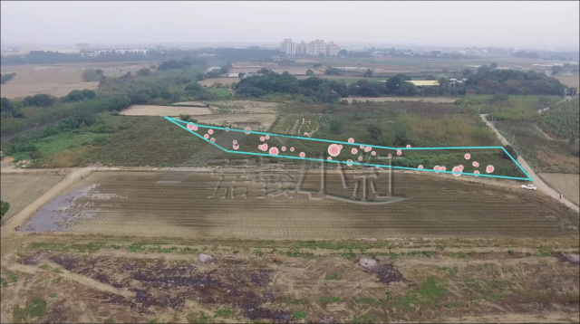 嘉義縣民雄鄉低總價農地**出售農地-1139**