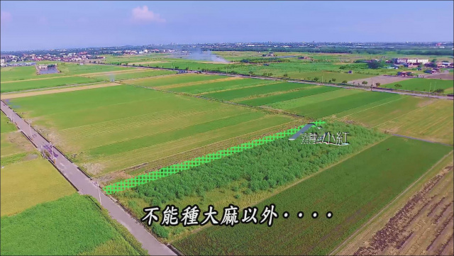 空拍環景..雲林縣水林鄉水林農地**出售農地-51**