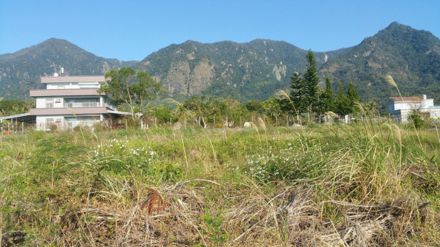 台東東河都蘭山腳下農地