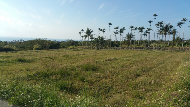 台東東河都蘭山腳下農地