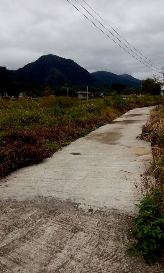 台東東河都蘭山腳下農地