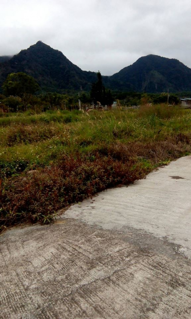 台東東河都蘭山腳下農地