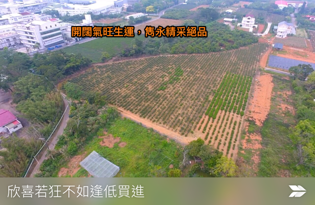 龍潭第二交流道旁便宜農地