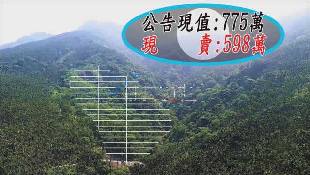 空拍環景..嘉義縣中埔鄉露營區附近林地 【每分地12.6萬】**出售林地-1149**