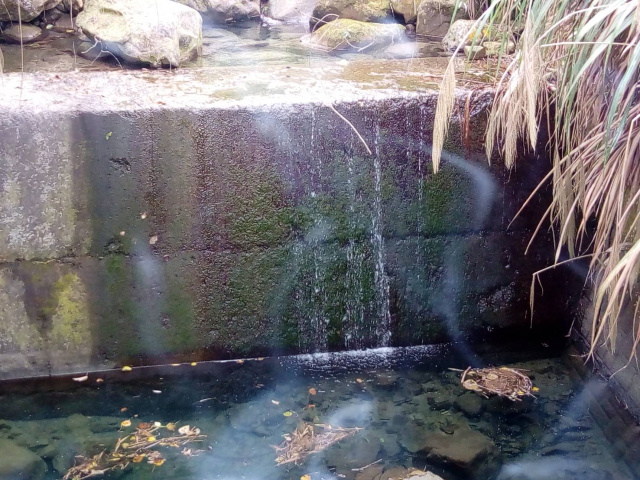 空拍環景..嘉義縣中埔鄉露營區附近林地 【每分地12.6萬】**出售林地-1149**