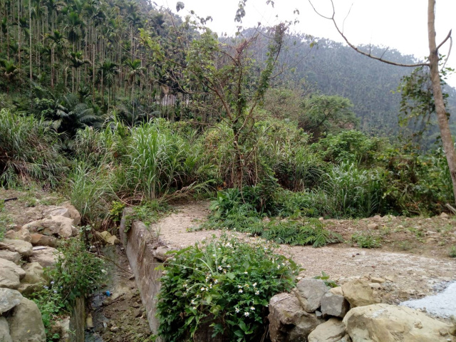 空拍環景..嘉義縣中埔鄉露營區附近林地 【每分地12.6萬】**出售林地-1149**