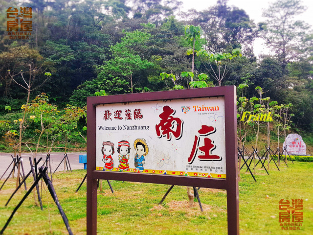 苗栗南庄桐花超美農地