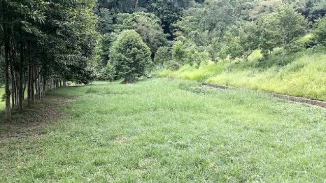 寶山有機休閒漂亮美地