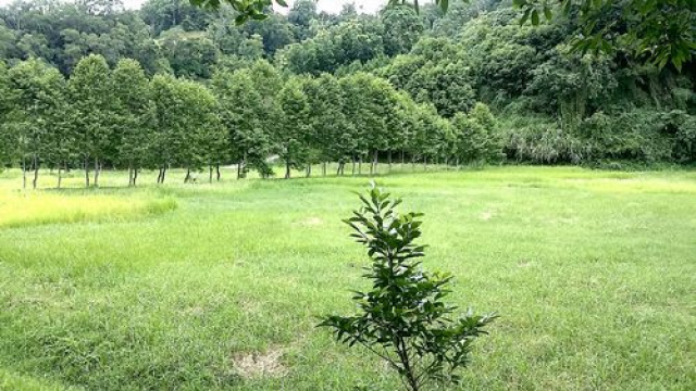 寶山有機休閒漂亮美地