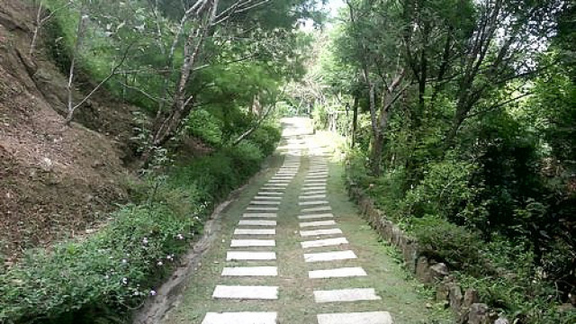 南庄雲頂小木屋*-*景觀視野絕佳