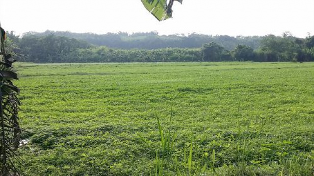 三灣漂亮農建地