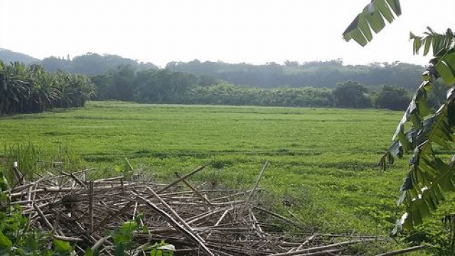 三灣漂亮農建地